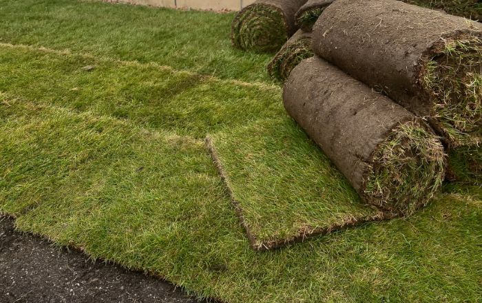 Landscaping and groundworks project