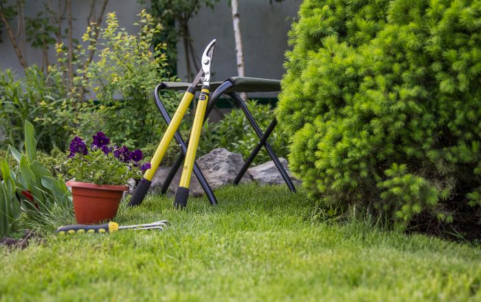 Garden maintenance and clearance work