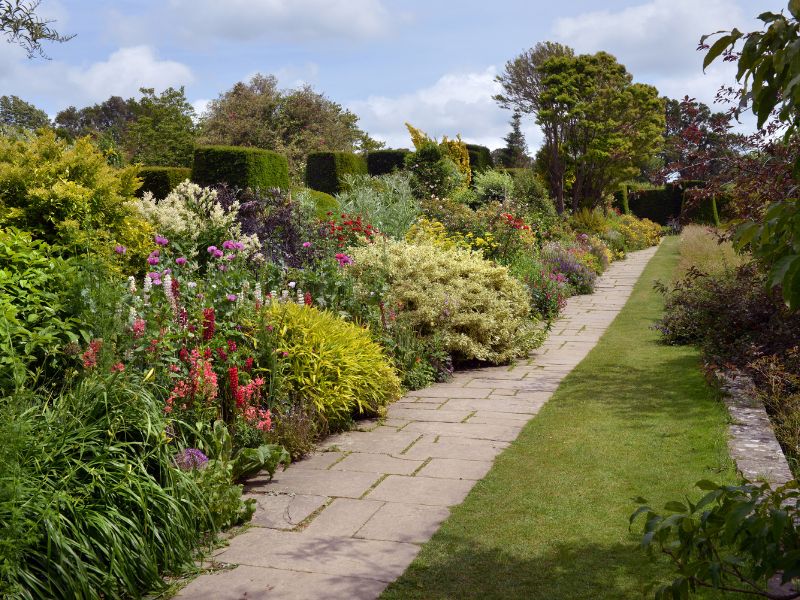Full garden clearance project